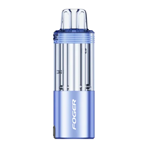 Blueberry watermelon foger switch pro disposable.webp